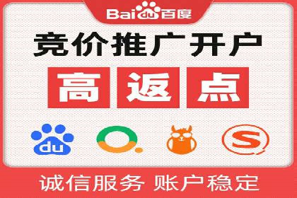 SEM推广优化策略：实战案例分析